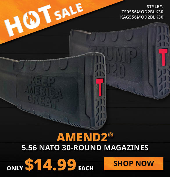 AMEND2 30 RD Magazines